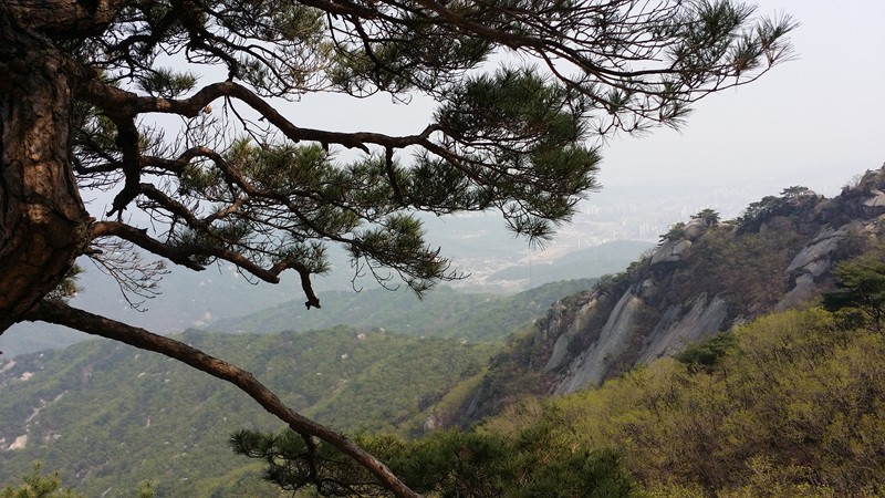 수락산정상에서 바라본 전경